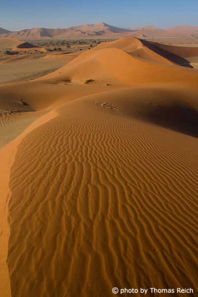 Sossusvlei Namib desert