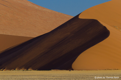 Gigantic dunes at the roadside Sossusvlei