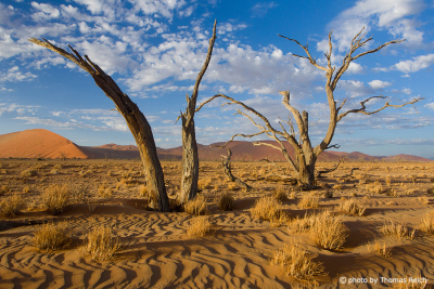 Landschaft im Sossusvlei Namibia