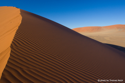 Sossusvlei - Endless Sea of Sand in the Namib-Naukluft National Park