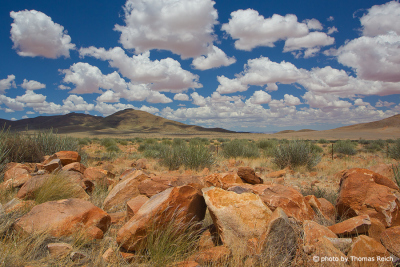 Landschaft im Namib Rand-Naturreservat