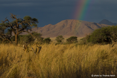 Regenbogen im Namib Naukluft Park