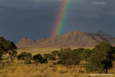 Regenbogen Namib-Naukluft National Park