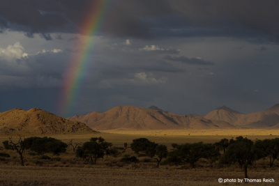 Rainy season Namib Naukluft Park