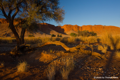 Petrified dunes at Namib Desert Lodge