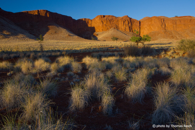 Petrified dunes Namib Desert