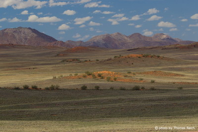 Endless expanse in the Namib Naukluft Park