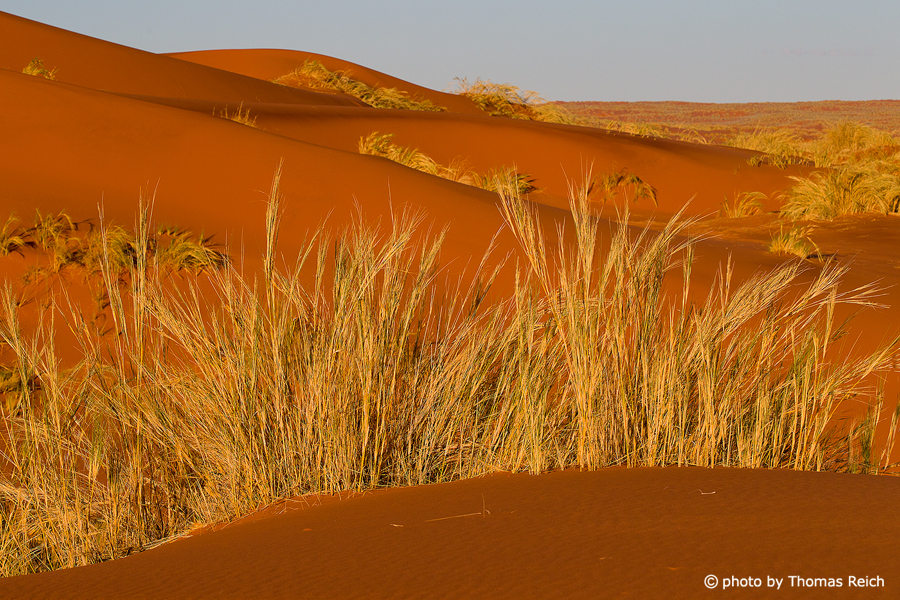 Namibwüste Tirasberge