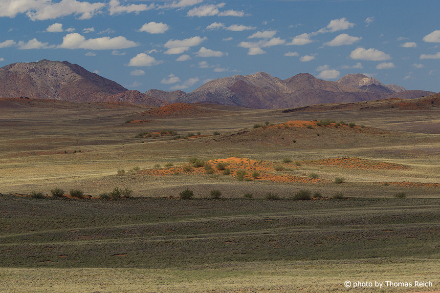 Endless expanse in the Namib Naukluft Park