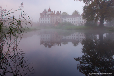 Basedow Castle in the fog