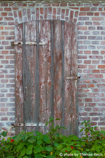 Nasturtium and old door, Rügen Island