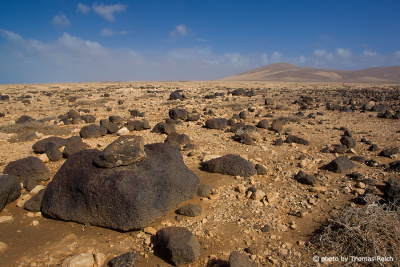 Lava stone fields Fuerteventura