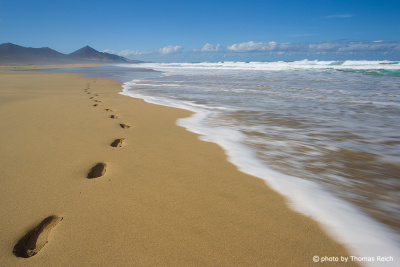 Strandwanderung Playa de Cofete, Fuerteventura