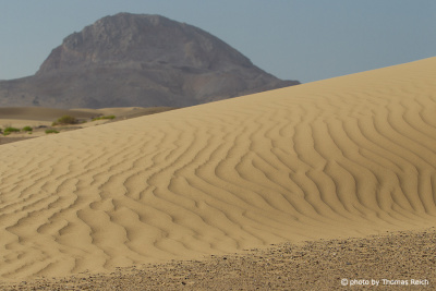 Düne, Wahiba Sands, Oman