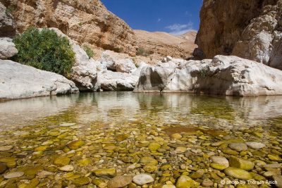 Felsenpool, Wadi Bani Khalid, Oman