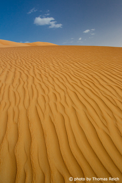 Desert Wahiba Sands, Oman