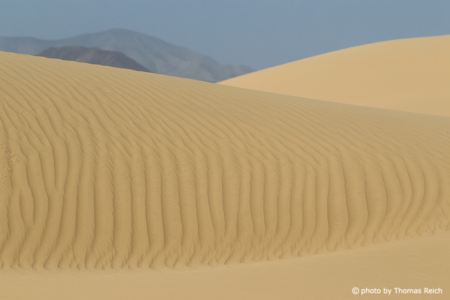 Wüste Wahiba Sands, Ramlat al Wahiba, Oman