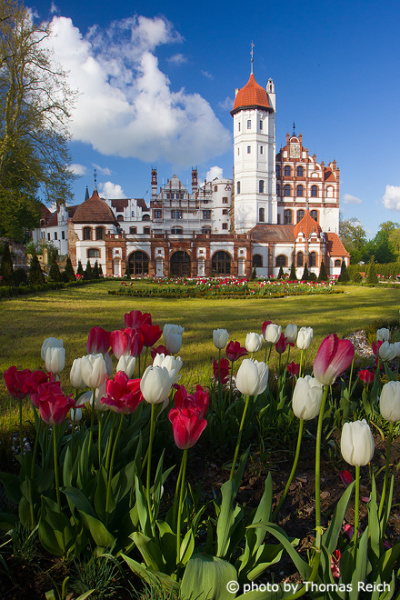 Schlossanlage Basedow mit Tulpen im Garten
