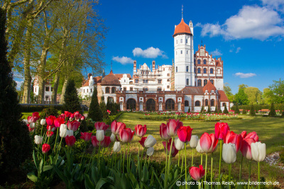 Schloss Basedow mit Tulpen