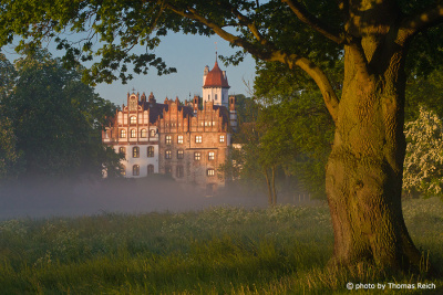Basedow Castle in the morning mist