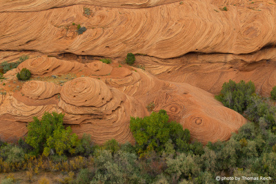 Canyon de Chelly from above