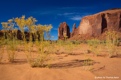 Monument Valley Wüste