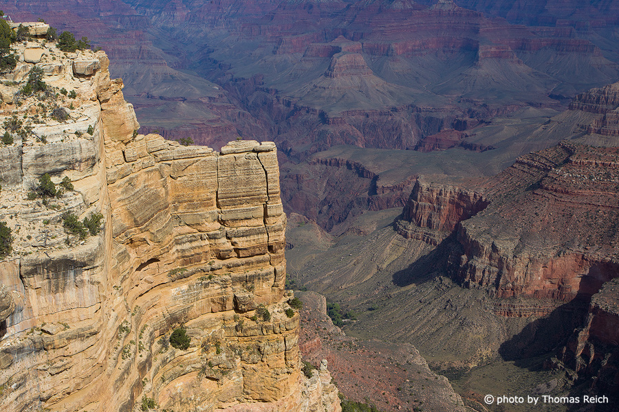 View into Grand Canyon USA