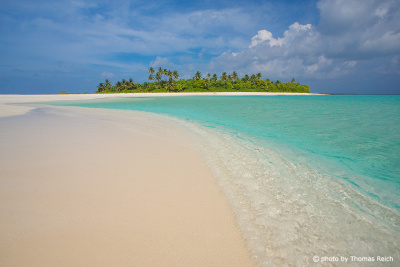 Malediven tropische Insel mit Palmen