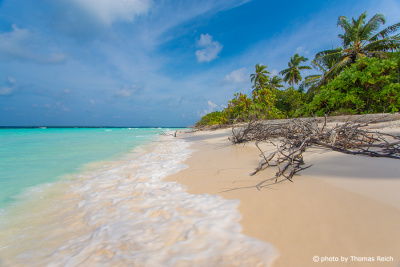 Dream beach Maldives