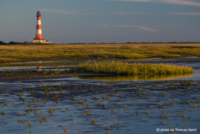 Westerheversand Lighthouse in salt marsh