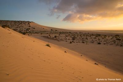Sand Dunes Fuerteventura Risco del Paso