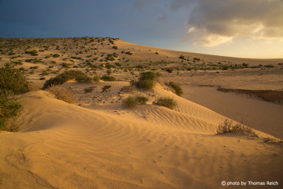Dünen Risco del Paso Fuerteventura