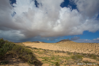 Risco del Paso desert Fuerteventura