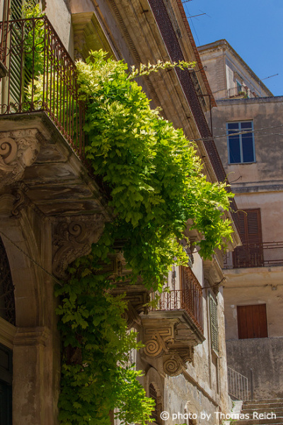 Balcony with plants Sicily