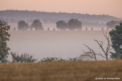 Morning mist Mecklenburg Switzerland