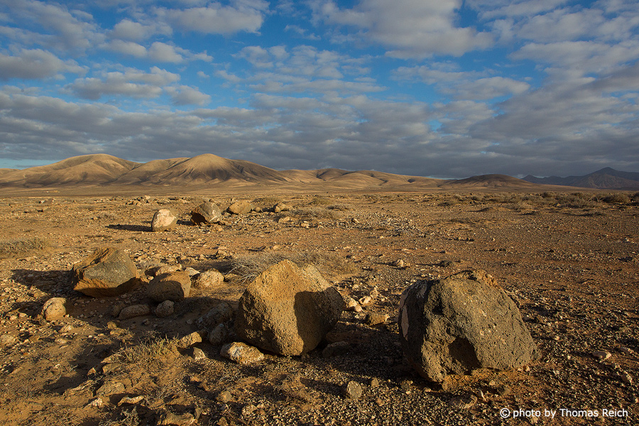 Stone Desert Fuerteventura