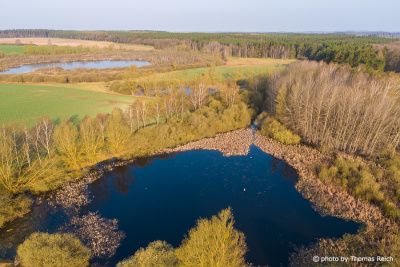 Nature reserve Mittelsee at Langwitz