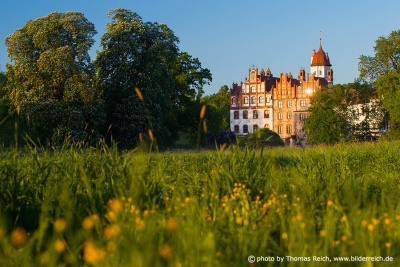 Schloss Basedow mit Frühlingswiese