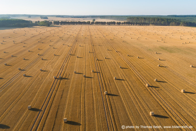 Grain field with straw bales aerial view