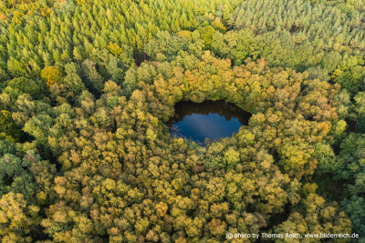 Forest bogs Mecklenburg-Western Pomerania