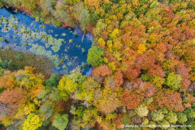 Luftbild Herbstwald