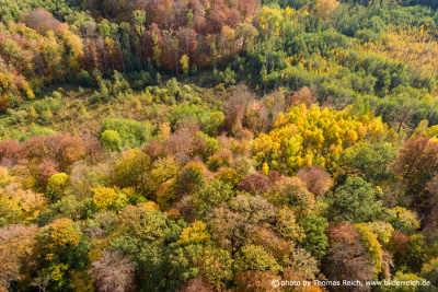 Fall forest aerial shot
