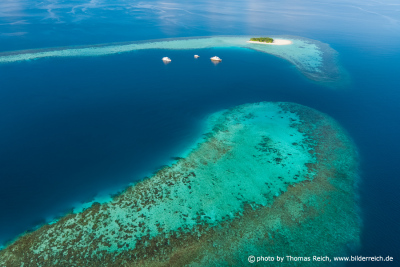 Malediven Korallenriff