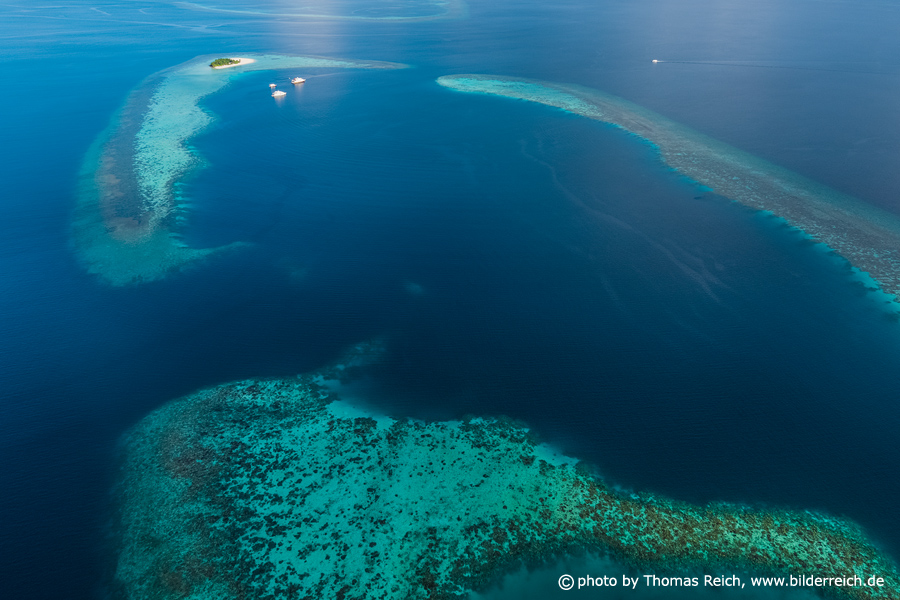 Maldives dive liveaboards