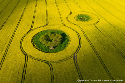 Rapeseed fields from the air