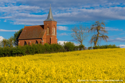 Rapeseed field with church