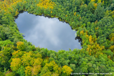 Herbstwald mit See Luftaufnahme
