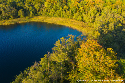 Autumn gold, Krakower lake