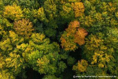 Herbstlandschaft Luftbild