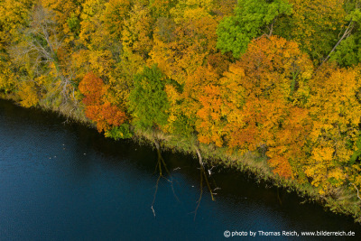 Bäume mit Herbstfärbung am Seeufer